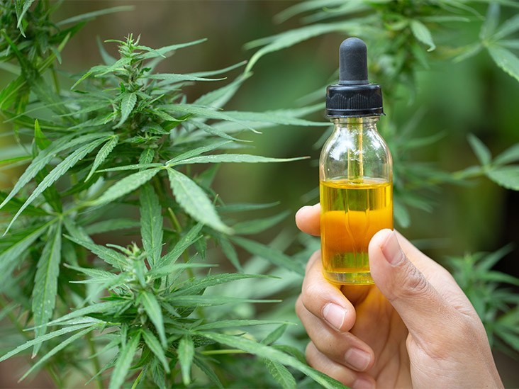 How Long Does CBD Oil Stay In Your System?